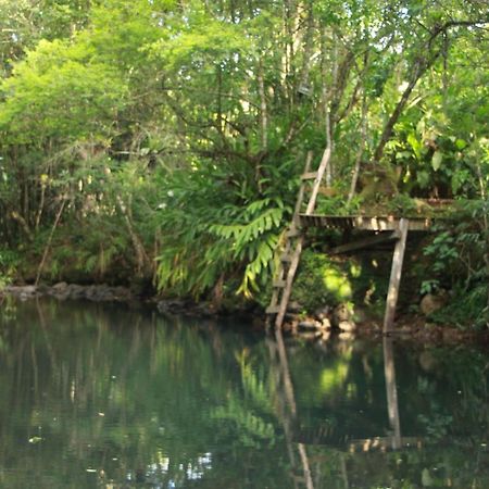 마키네 Casa De Campo - Sitio Da Tia Vera 빌라 외부 사진